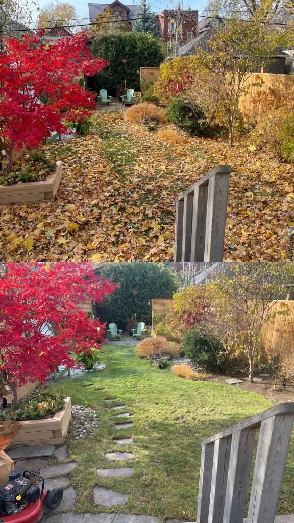 Fall cleanup by Gladstone Property Services in the Greater Toronto Area
